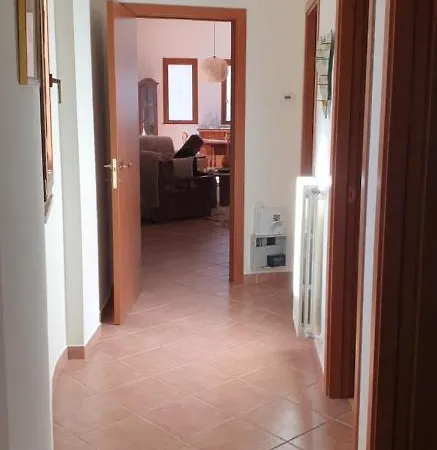 Bellona 319