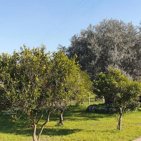 Nyaraló Bellona 319 *