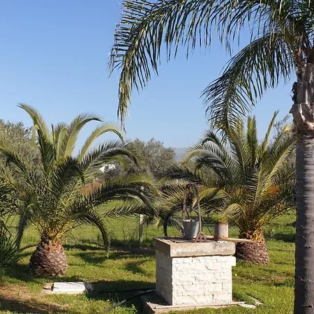 Bellona 319 Comiso