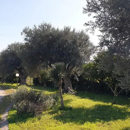 Bellona 319